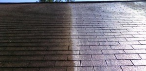 roof cleaning hattiesburg ms